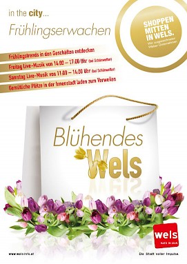 Plakat Blühendes Wels