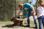 Zoo Schmiding eröffnet Streichelzoo