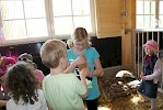 Zoo Schmiding eröffnet Streichelzoo