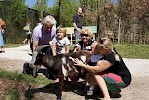 Zoo Schmiding eröffnet Streichelzoo