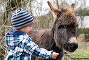 Streichelzoo in Zoo Schmiding