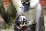 Frühlingskinder im Zoo Schmiding bei Wels