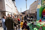 Maibaum aufgestellt