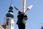 Maibaum aufgestellt