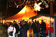 Grillen und Punsch im Park Wels-Neustadt