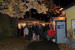 Grillen & Punsch im Park