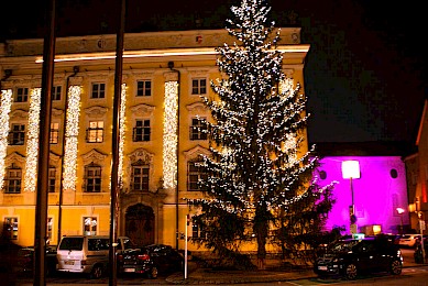 Welser Weihnachtswelt Eröffnung