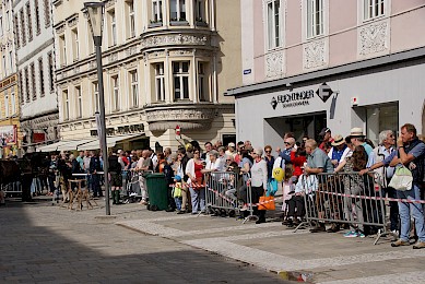 Maibaumaufstellen 2018