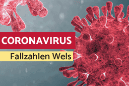 COVID-19 Darstellung des Virus