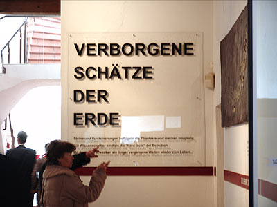 nächstes Bild