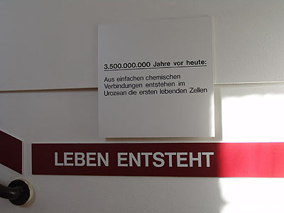 nächstes Bild