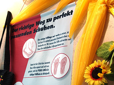 nächstes Bild