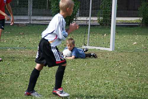 nchstes Bild